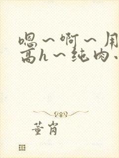 嗯～啊～用力～高h～纯肉小说