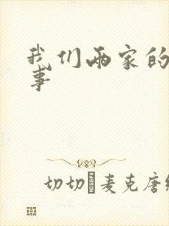 我们两家的荒唐事封面