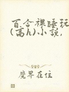 百合裸睡玩奶头(高h)小说,