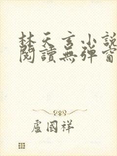 林天玄小说免费阅读无弹窗