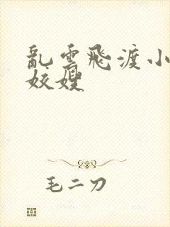 乱云飞渡小说之姣嫂