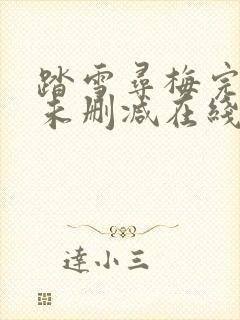 踏雪寻梅完整版未删减在线免费观看