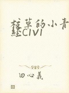 校草的小青梅不经C1V1