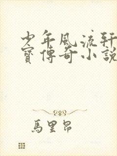 少年风流轩辕大宝传奇小说