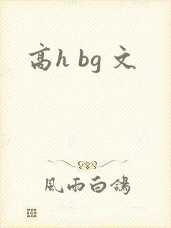 高h bg 文