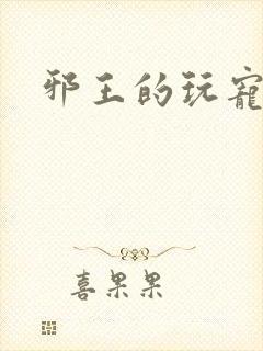 邪王的玩宠封面