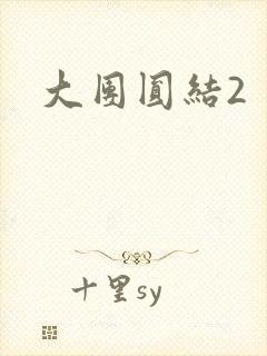 大团圆结2