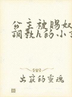 公主被赐奴当众调教h的小说封面