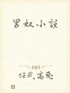 男奴小说