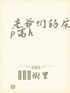 老爷们的床奴np高h