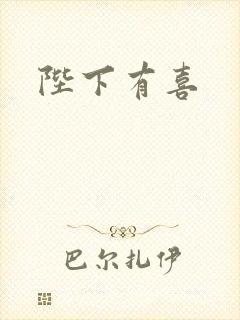 陛下有喜封面