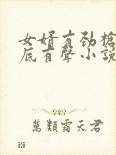 女婿有劲枪枪到底有声小说