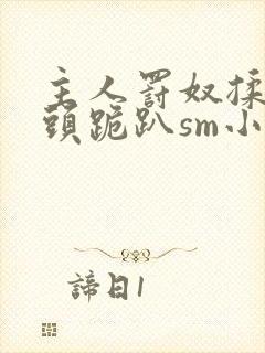 主人罚奴揉捏奶头跪趴sm小说