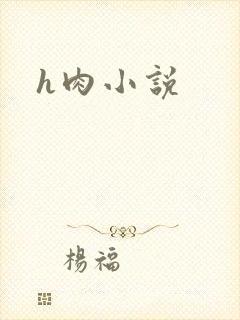 h肉小说