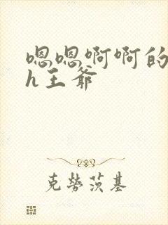 嗯嗯啊啊的小说h王爷