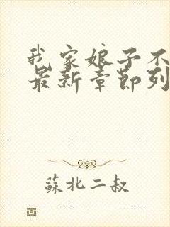 我家娘子不对劲最新章节列表封面