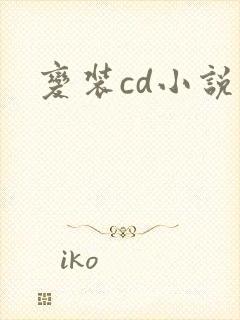 变装cd小说封面