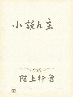 小说h主
