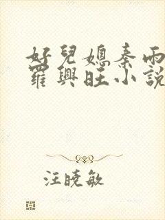 好儿媳秦雨罗明罗兴旺小说封面