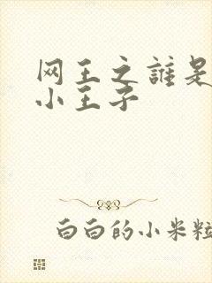 网王之谁是我的小王子