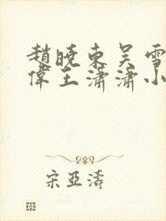 赵晓东吴雪晴郑伟王潇潇小说名字封面