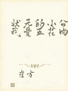 状元的小公主(我爱五花肉)