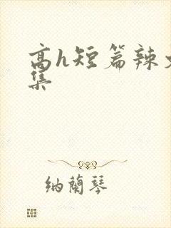 高h短篇辣文合集