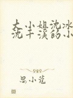 大小姐沈冰清和沈千溪的小说封面