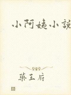 小阿姨小说