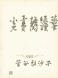 小青梅绿药全文免费阅读笔趣阁封面