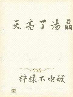 天亮了汤晶锦封面