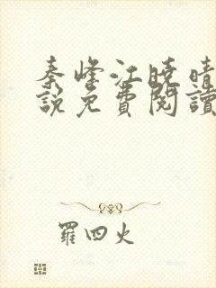 秦峰江晓晴的小说免费阅读封面