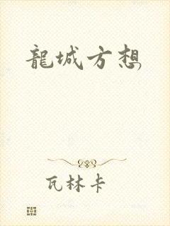龙城方想封面