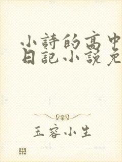 小诗的高中成长日记小说免费阅读封面