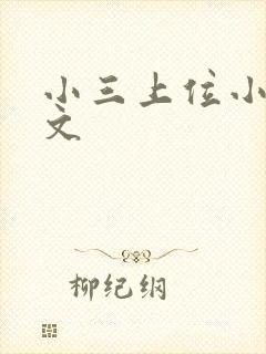 小三上位小说全文