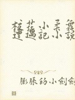 校花小柔舞蹈室遭遇记小说