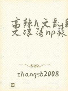 高辣h文乱乳h文浪荡np苏夏