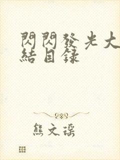 闪闪发光大团圆结目录封面