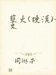 孽火(硬汉)今又