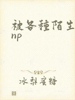 被各种陌生人 np封面