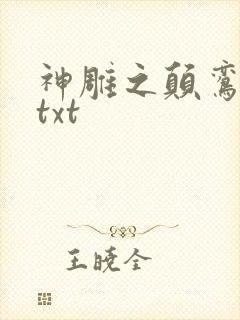 神雕之颠鸾倒凤txt