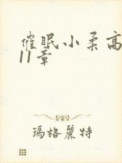 催眠小柔高达第11章