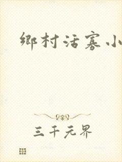 乡村活寡小说封面