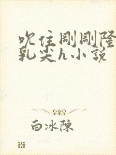 吮住刚刚隆起小乳尖h小说