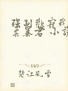 强制欢宠我的温柔暴君 小说