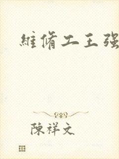 维修工王强张婷封面