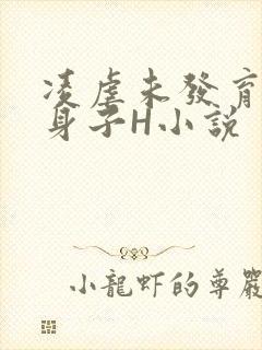 凌虐未发育的小身子H小说封面