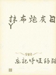 抹布炮灰日记BY