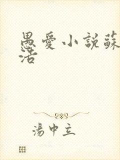 愚爱小说苏倩孙浩