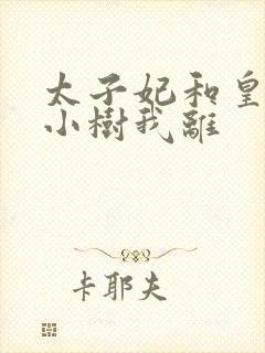 太子妃和皇上在小树我离封面